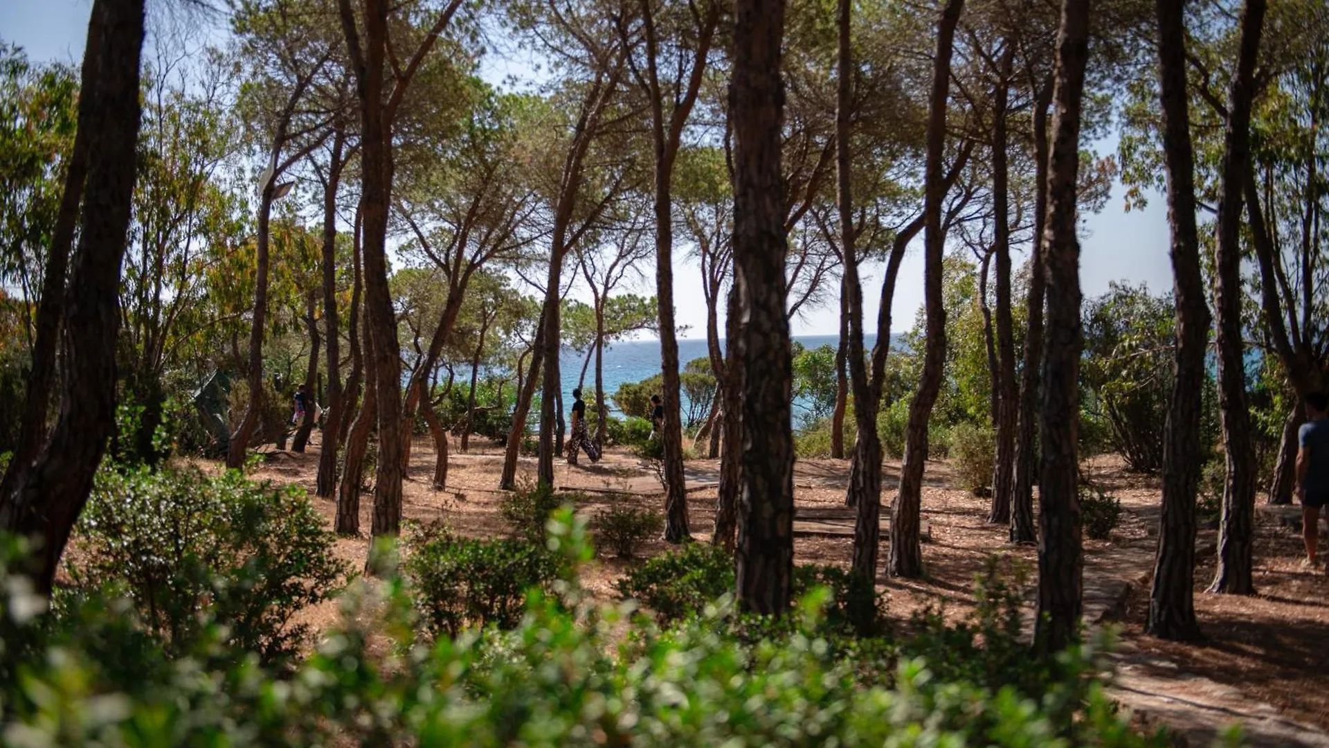 Hotel Amareclub Rocca Dorada Santa Margherita di Pula Italia
